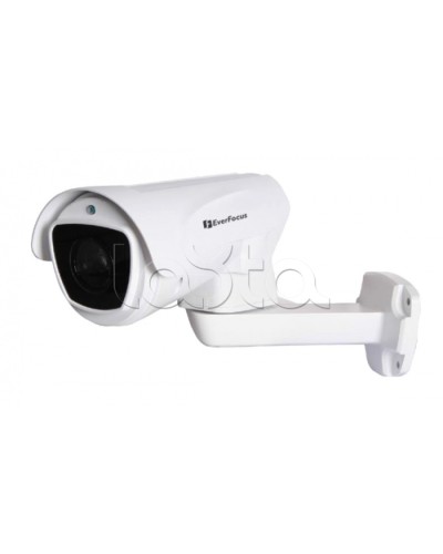 Камера видеонаблюдения в стандартном исполнении EverFocus EZA6210 в Долгопрудном Аналоговые камеры Pintop.ru